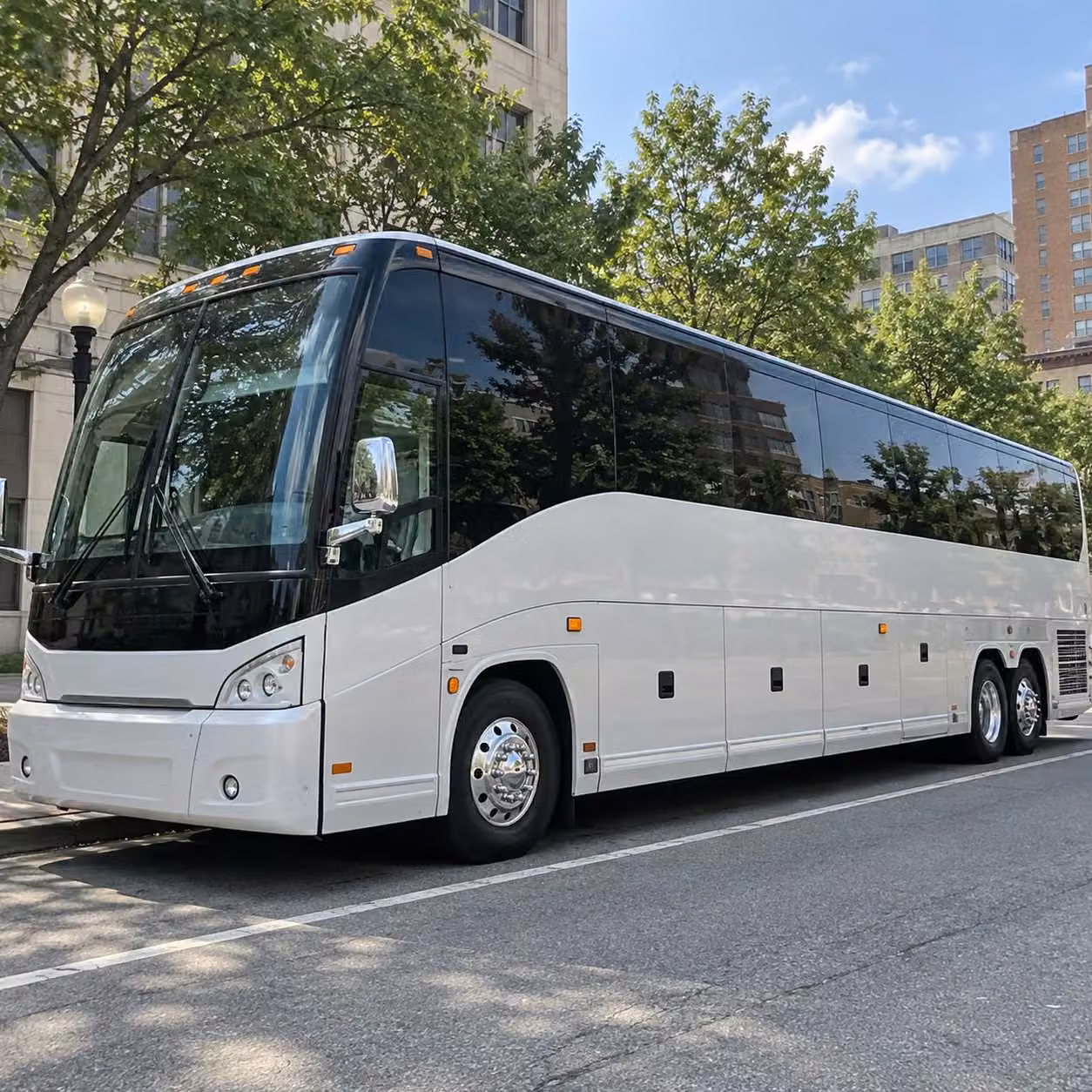 tennessee smokies baseball transportation from knoxville